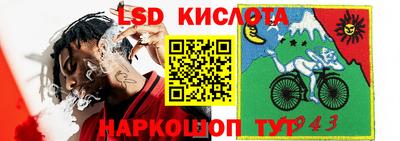 шишки Берёзовский