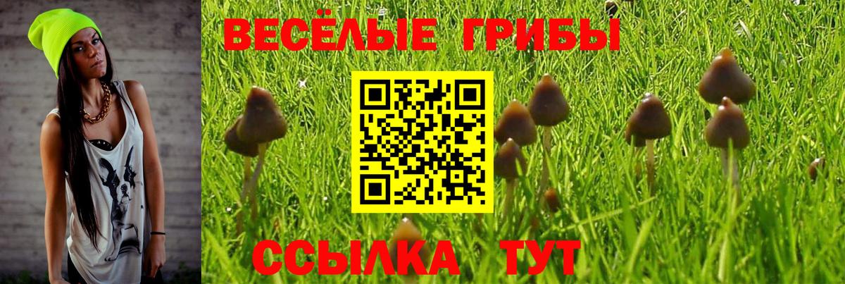 Галлюциногенные грибы Psilocybine cubensis Егорьевск