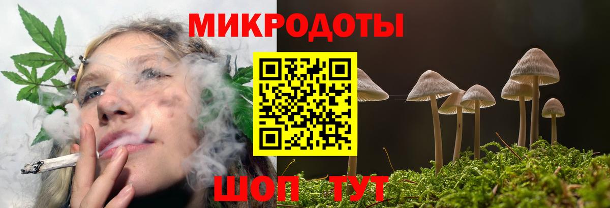 Псилоцибиновые грибы Psilocybe  купить закладку  Псилоцибиновые грибы Cubensis  Егорьевск 